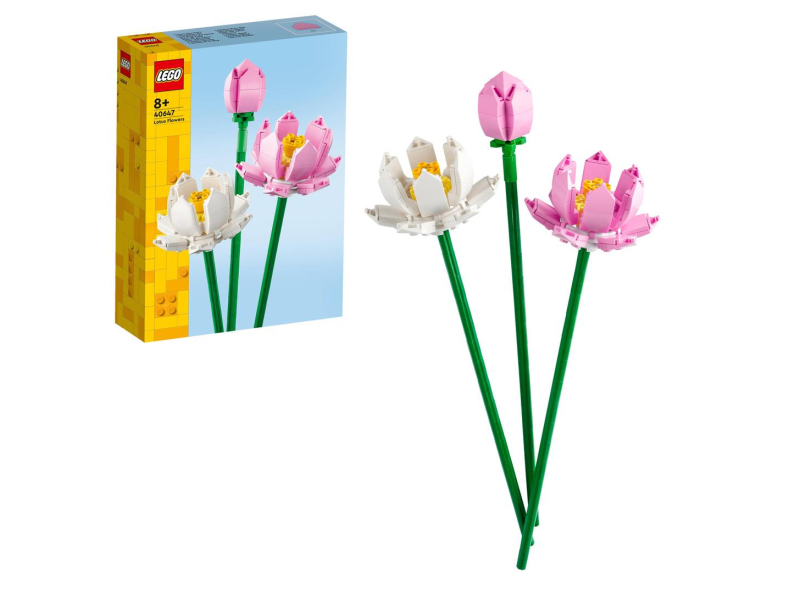 Elegante Heimdekoration ohne Pflege