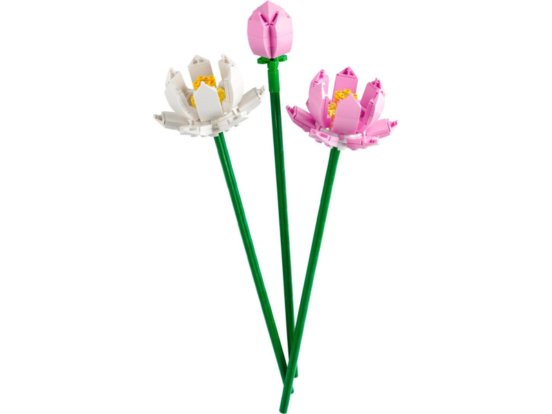 Kombinierbar mit anderen LEGO® Botanicals