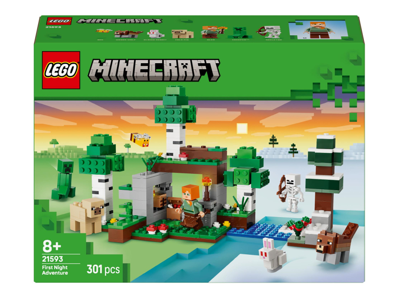 LEGO MINECRAFT 21593 Überleben der ersten Nacht