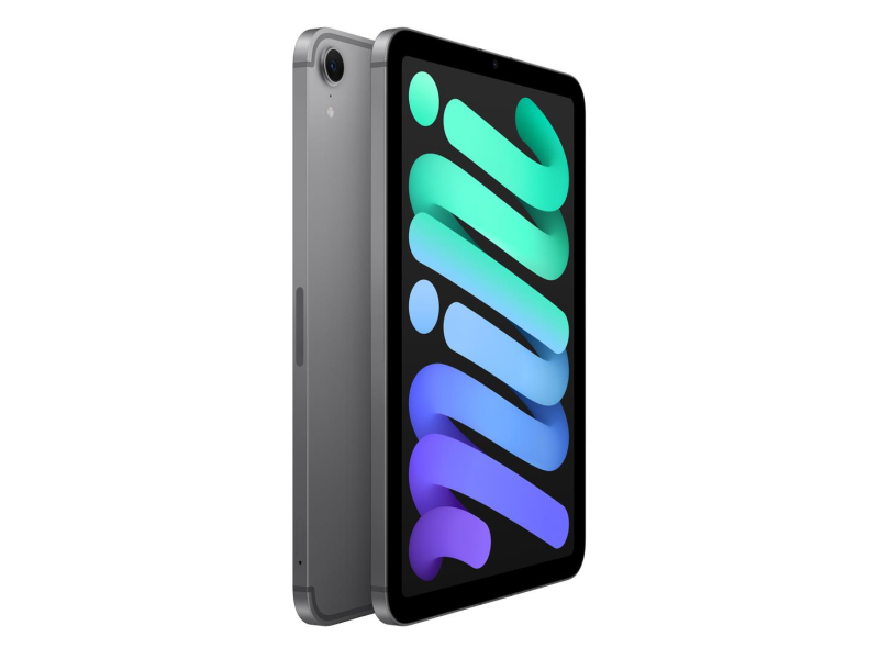 Apple iPad Mini 7. Generation 256 GB 5G Space Grau