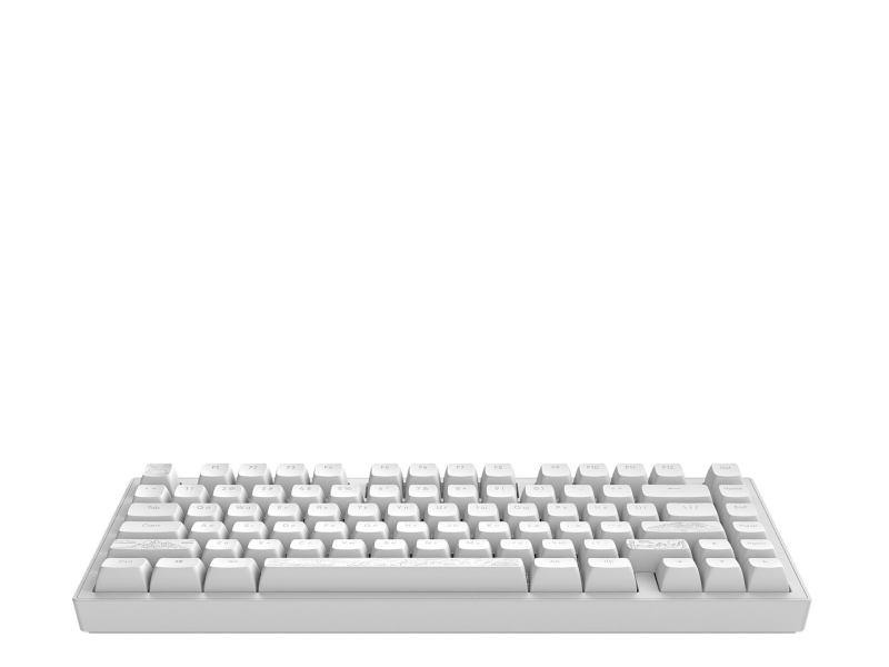 Dark Project ALU81A Terra Nostra White ANSI USA/UA