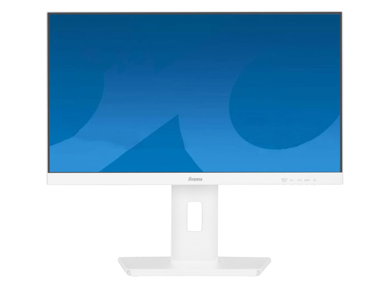 iiyama ProLite XUB2293HSU-W7