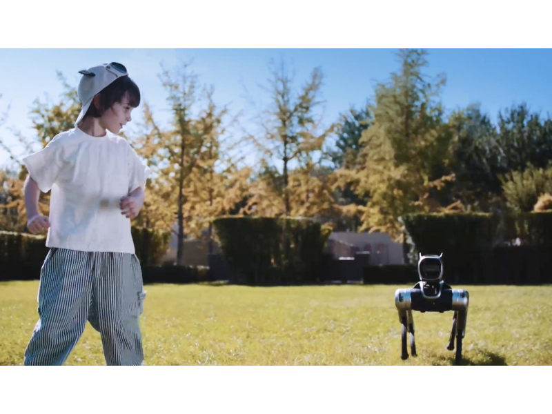 Magiclab Magicdog Edu