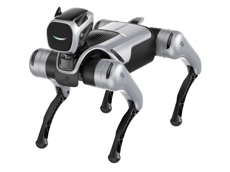 Magiclab Magicdog Edu