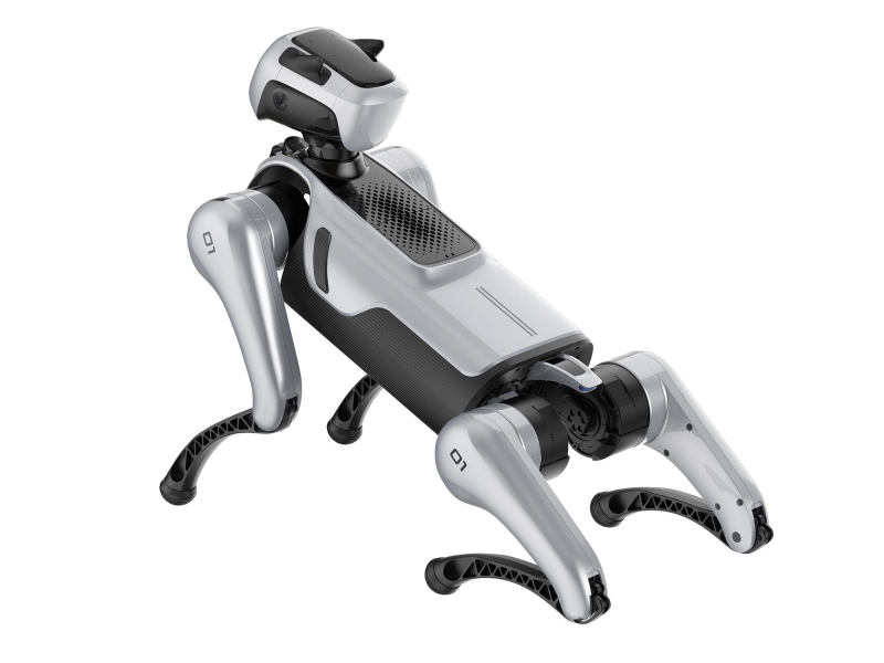 Magiclab Magicdog Edu