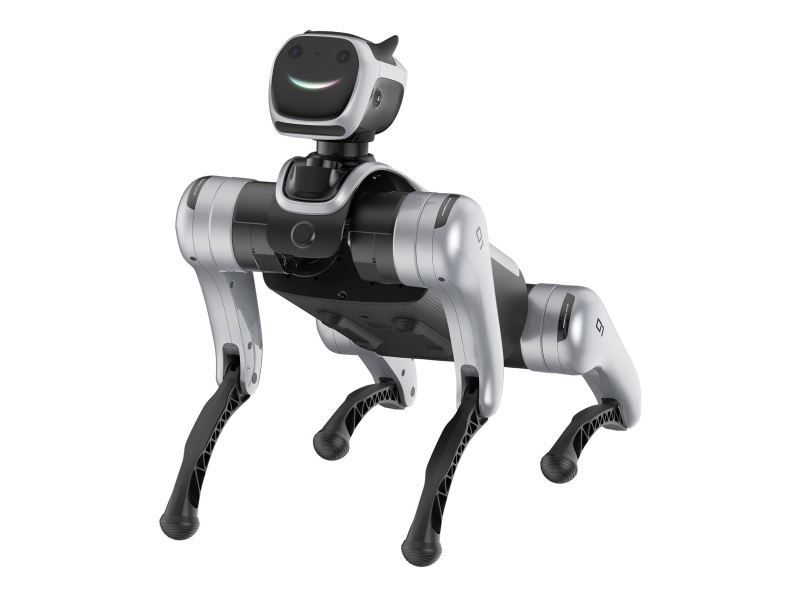 Magiclab Magicdog Edu