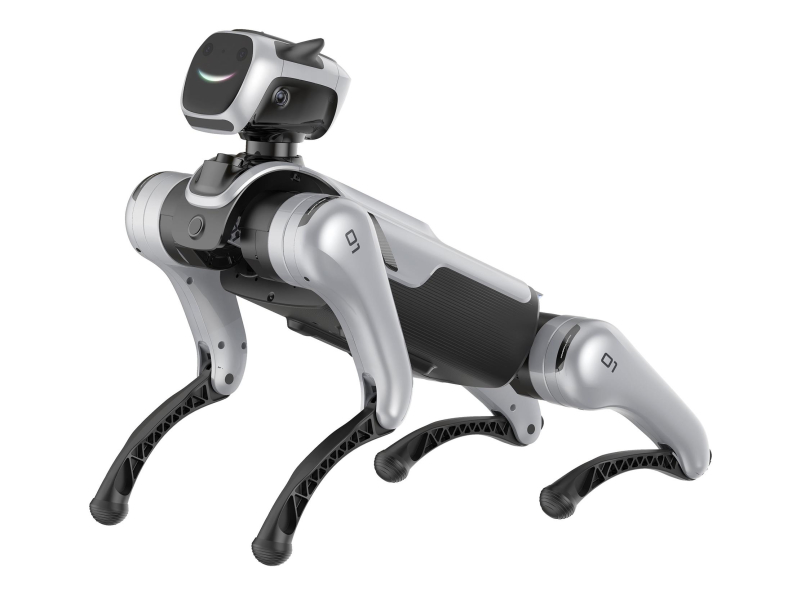 Magiclab Magicdog Edu