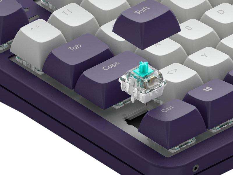 Dark Project ALU87A Violet ISO DE Mehrsprachige Unterstützung