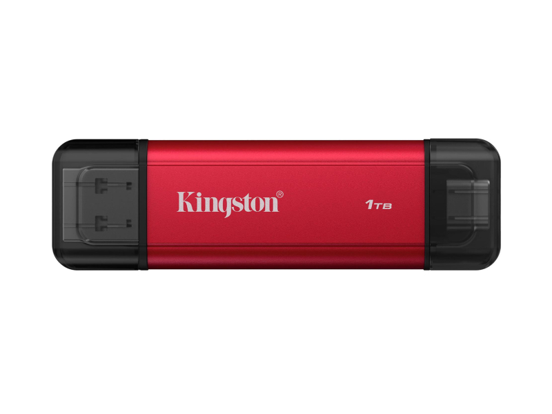 Kingston 1TB DualPortable