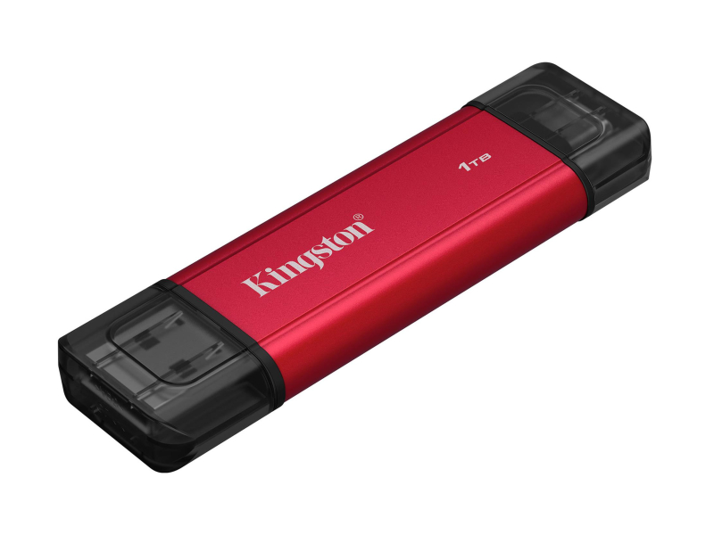 Kingston 1TB DualPortable