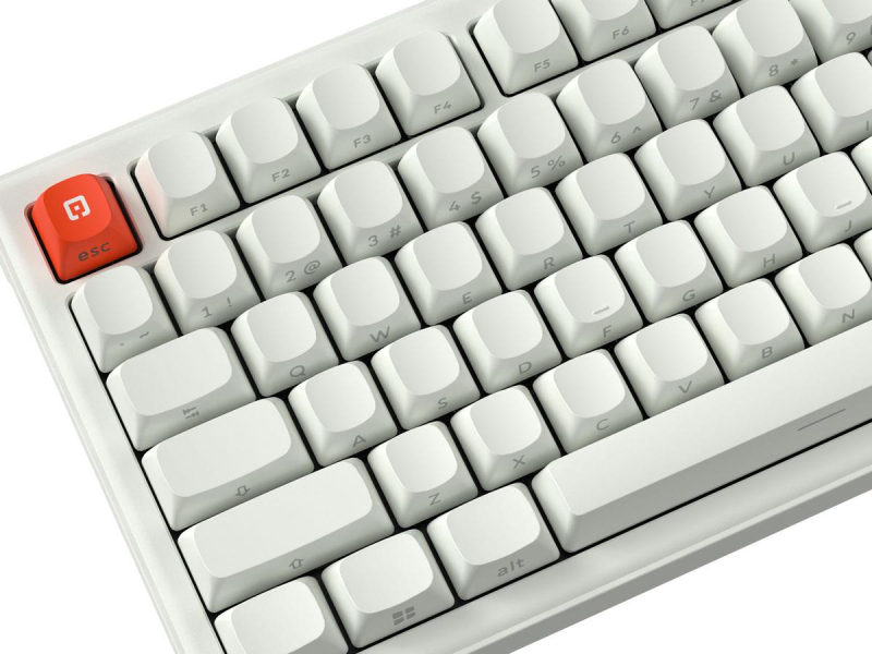 SMX Kishu Switch Jelly weiß