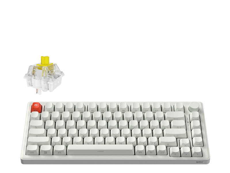 SMX Kishu Switch Honey weiß