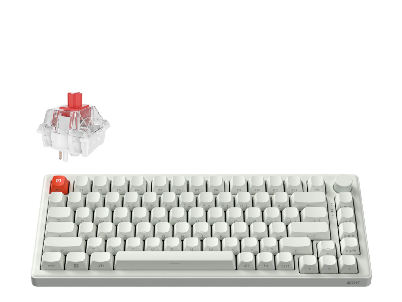 SMX Kishu Switch Jelly weiß