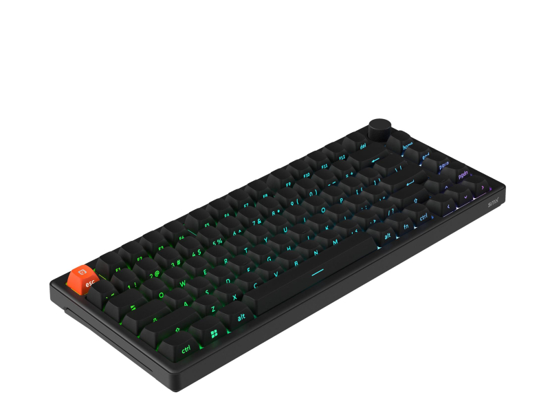 Austauschbare Schalter