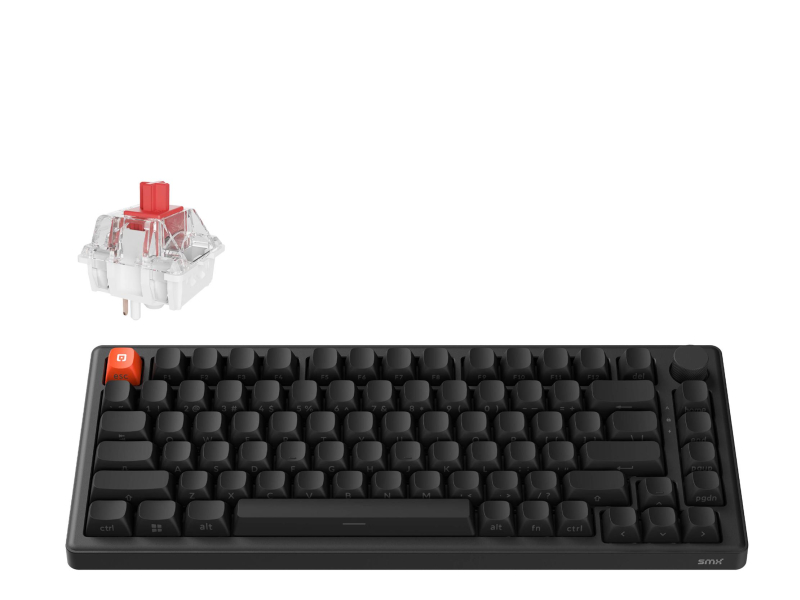 SMX Kishu Switch Jelly schwarz