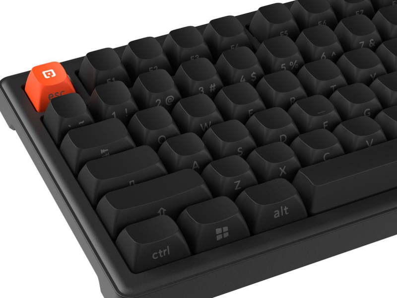 SMX Kishu Switch Jelly schwarz