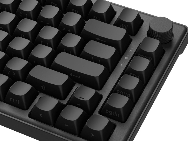 SMX Kishu Switch Jelly schwarz