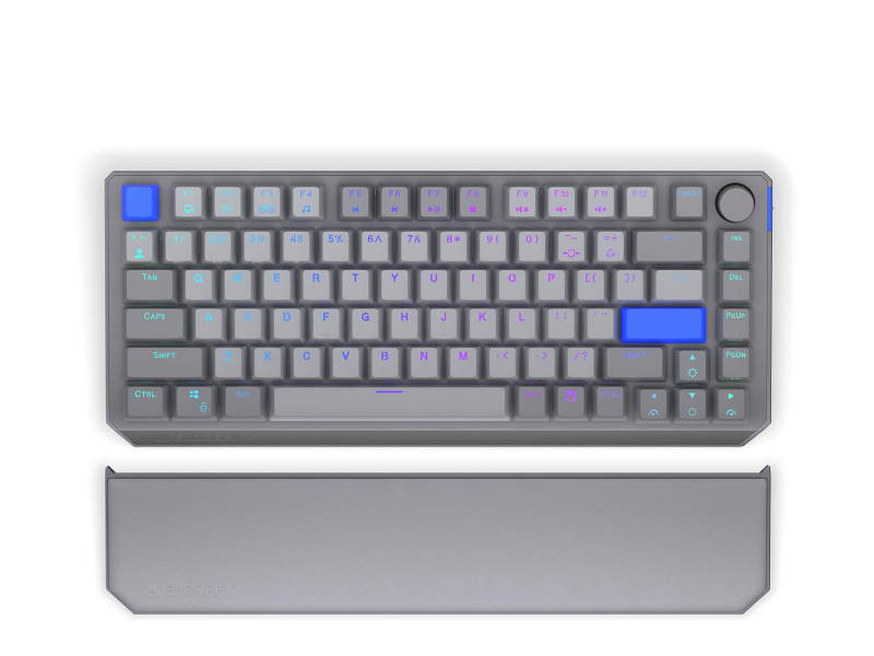 ENDORFY Thock 75% Palm Rest V2