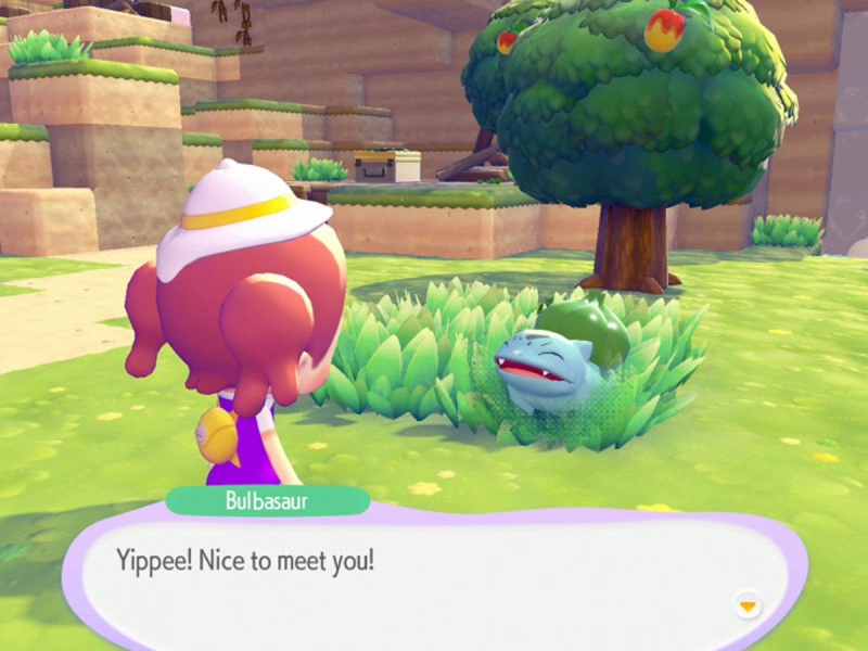 Switch Pokémon Pokopia