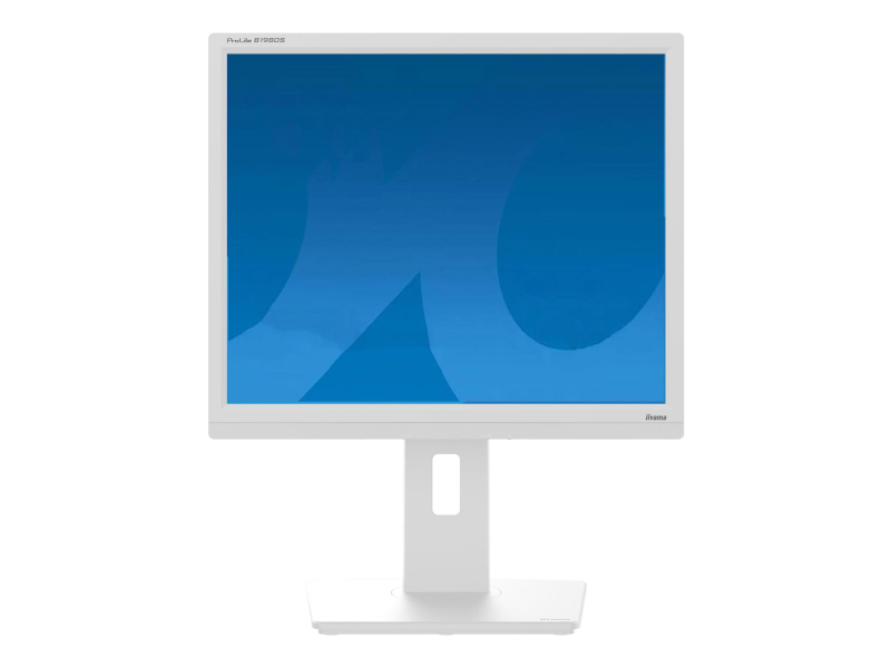 iiyama ProLite B1980S-W1