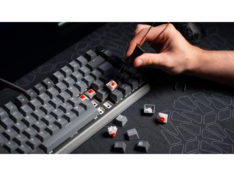 ENDORFY Thock V2 75%