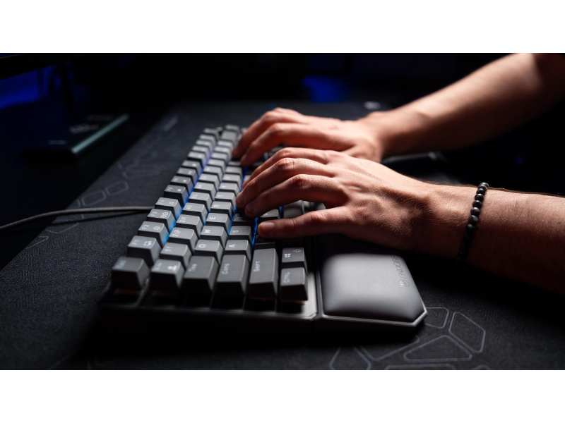 ENDORFY Thock V2 75%