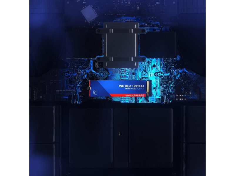 WD 1TB M.2 PCIe Gen4 NVMe Blue SN5100