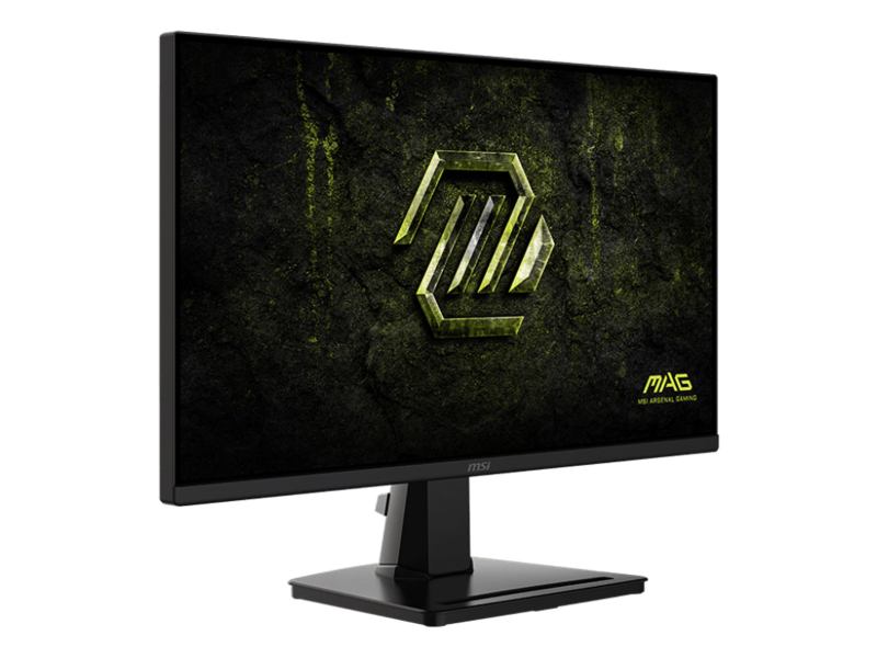 MSI MAG 256F E20