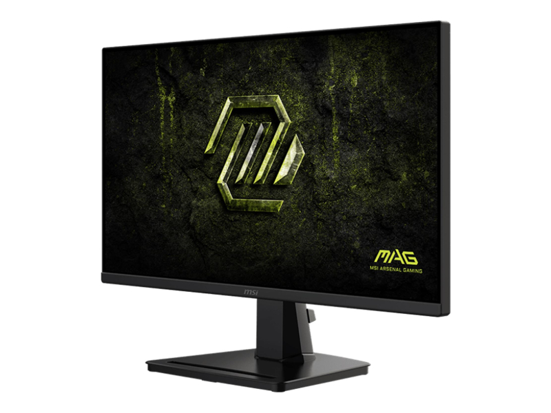 MSI MAG 256F E20