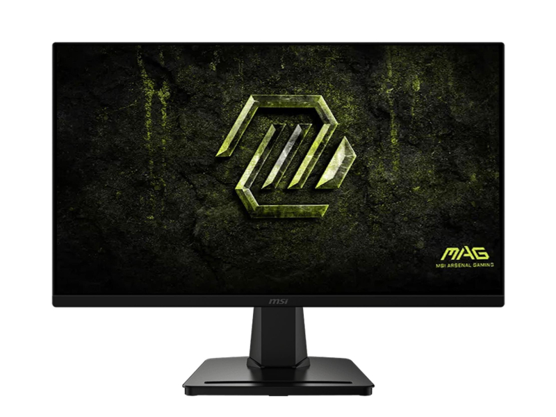 MSI MAG 256F E20