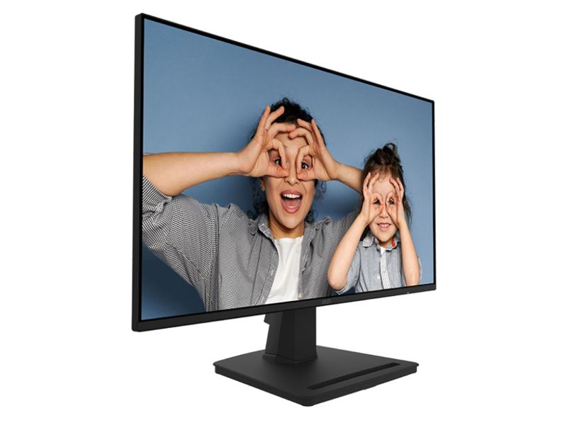 MSI PRO MP252