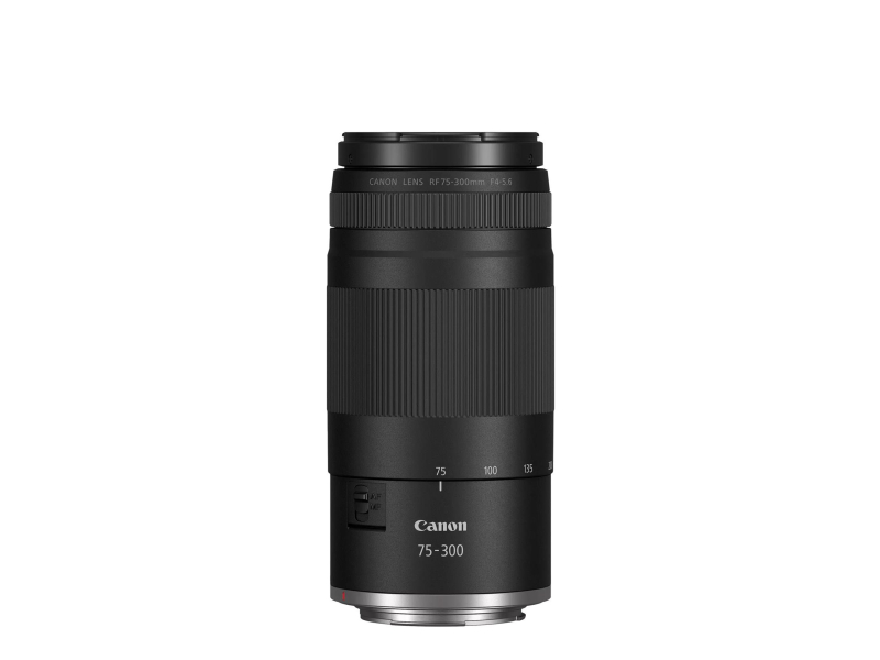 Canon EOS R50 - Rückansicht