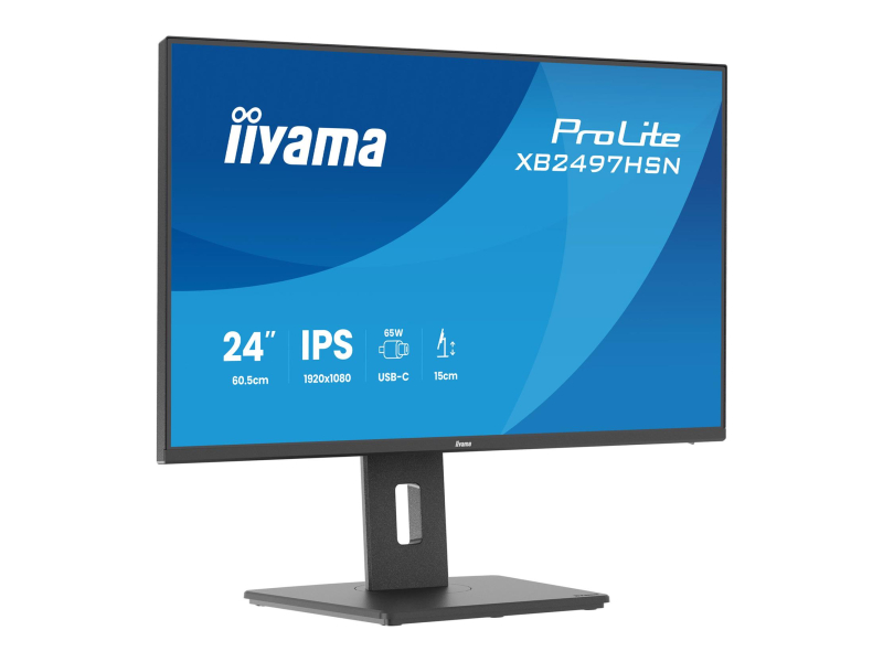 VESA-Montage beim iiyama Monitor