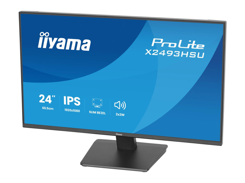 iiyama ProLite X2493HSU-B1