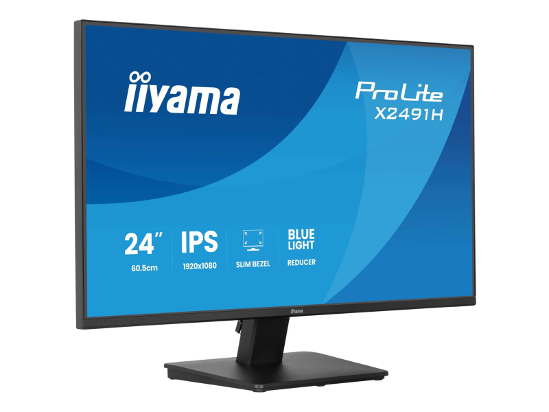 iiyama ProLite X2491H-B1