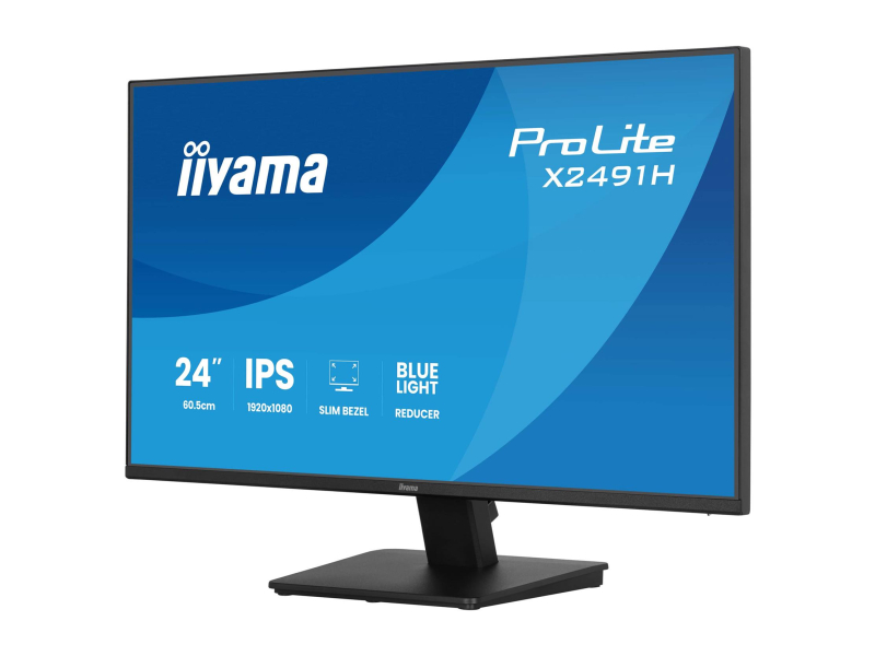 iiyama ProLite X2491H-B1